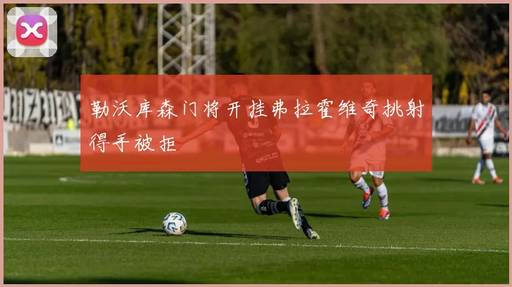 勒沃库森门将开挂弗拉霍维奇挑射得手被拒