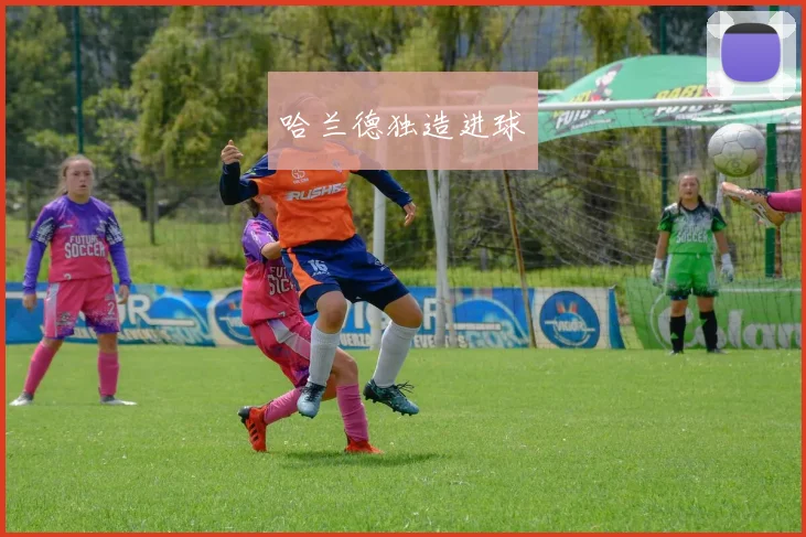 哈兰德独造进球