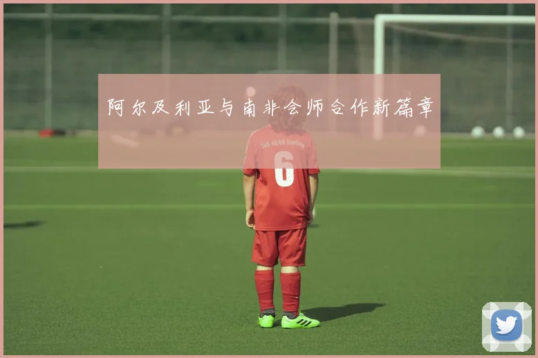 阿尔及利亚与南非会师合作新篇章