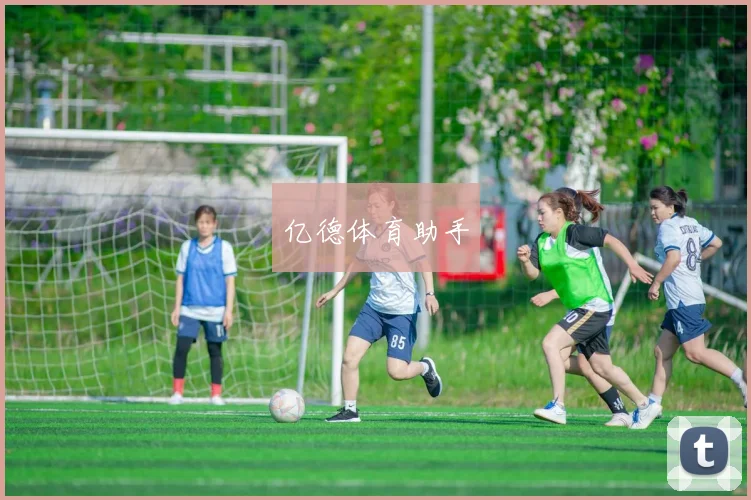 亿德体育助手