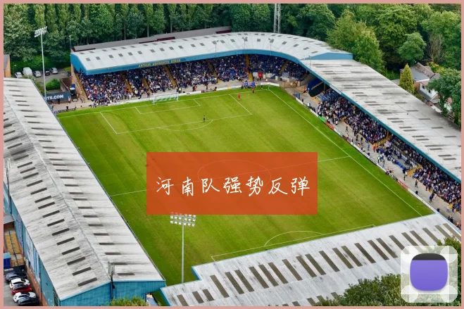 河南队强势反弹