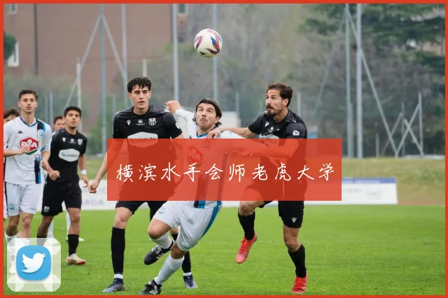 横滨水手会师老虎大学
