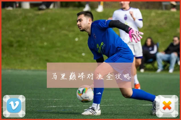 马里巅峰对决全攻略