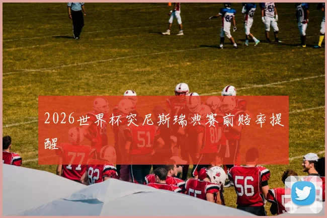 2026世界杯突尼斯瑞典赛前赔率提醒