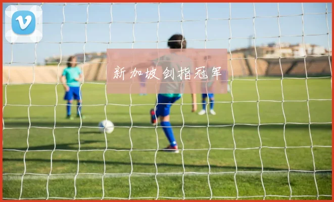 新加坡剑指冠军