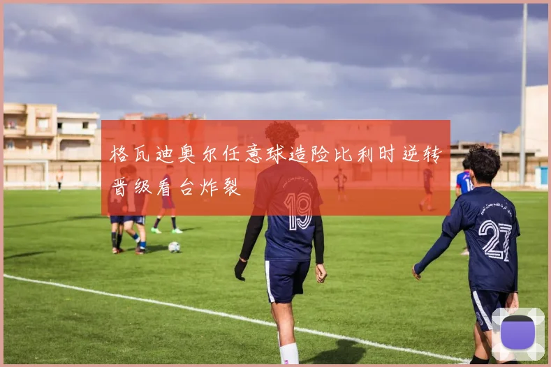 格瓦迪奥尔任意球造险比利时逆转晋级看台炸裂