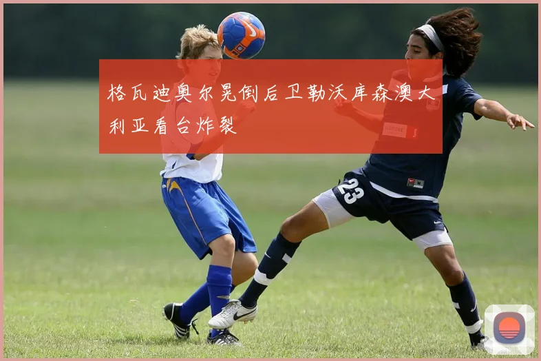 格瓦迪奥尔晃倒后卫勒沃库森澳大利亚看台炸裂