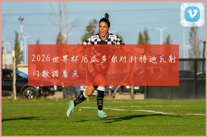 2026世界杯厄瓜多尔对科特迪瓦射门数据看点