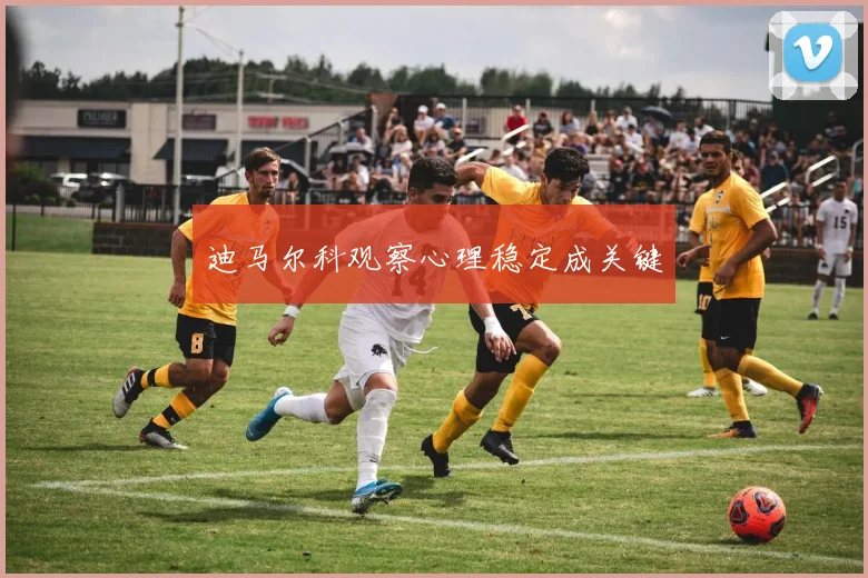 迪马尔科观察心理稳定成关键